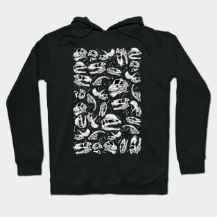 The fossil bed Hoodie